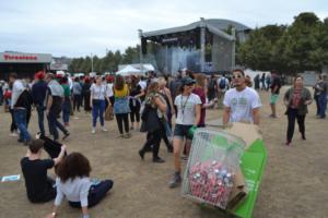 Rock en Seine